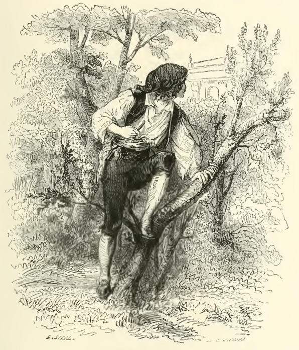 An image