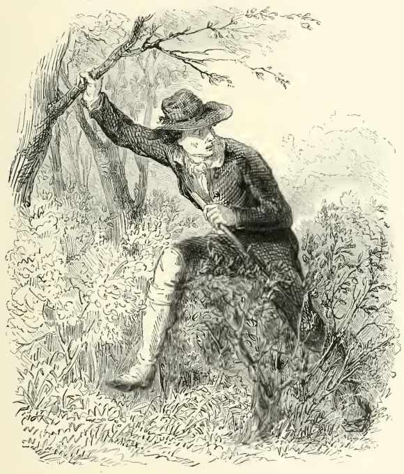 An image