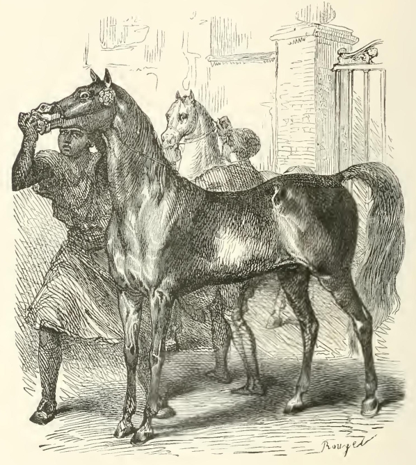 An image