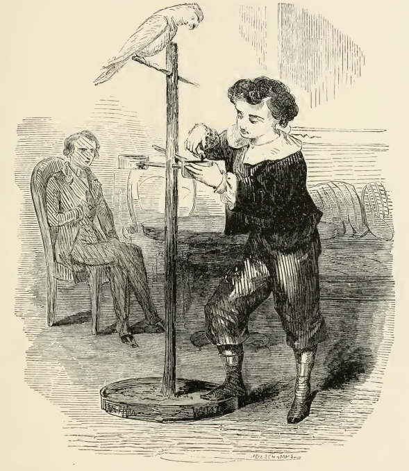 An image