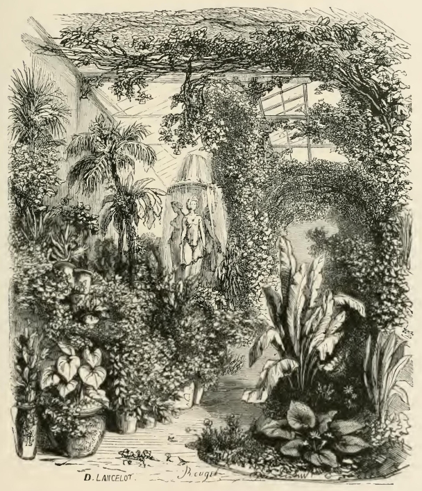An image