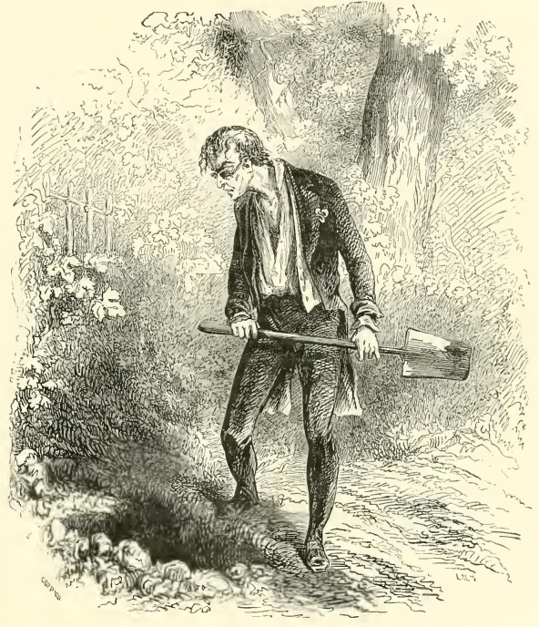 An image