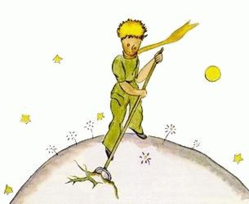 Illustration