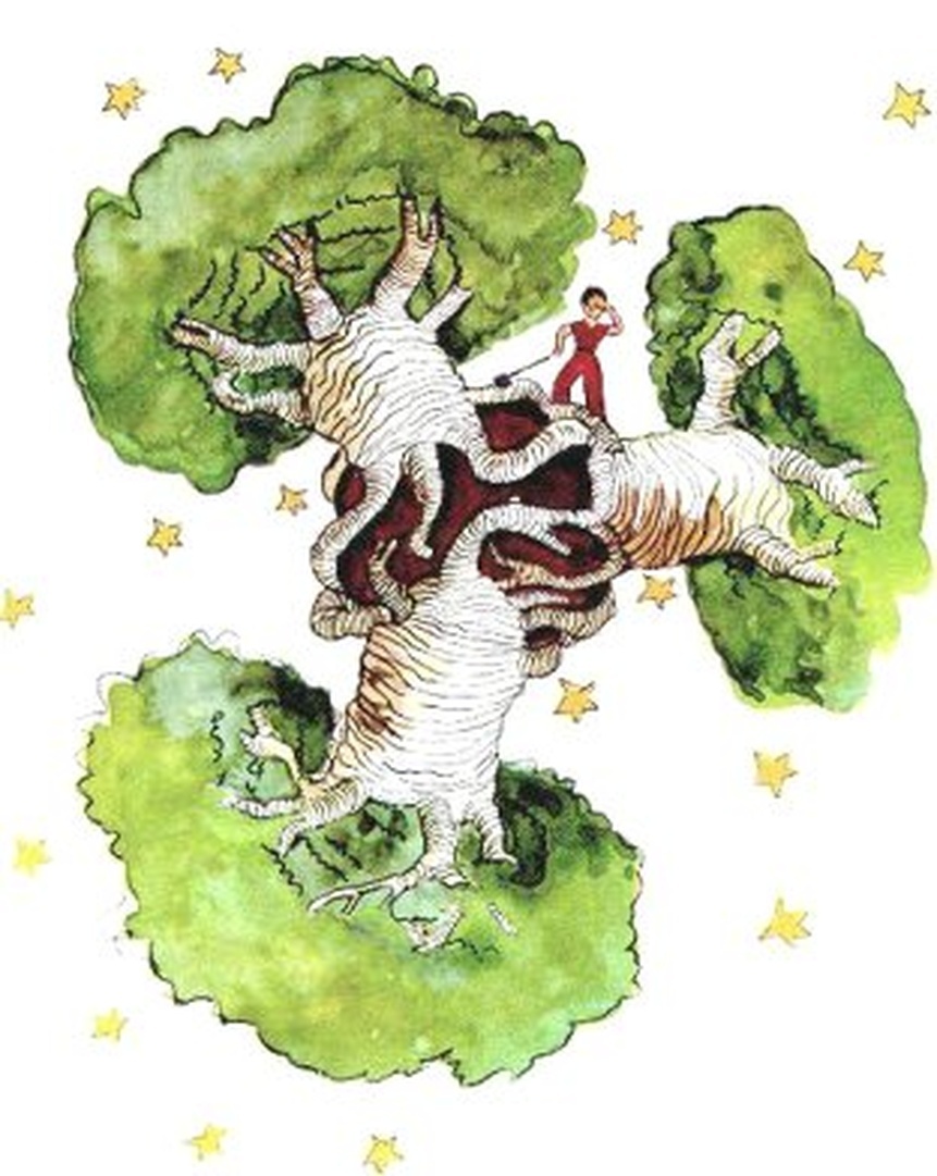 Illustration