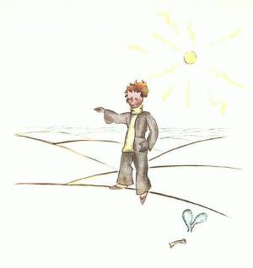 Illustration