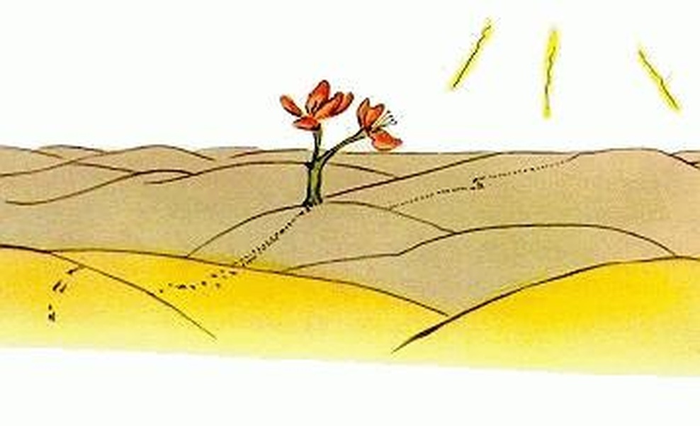 Illustration