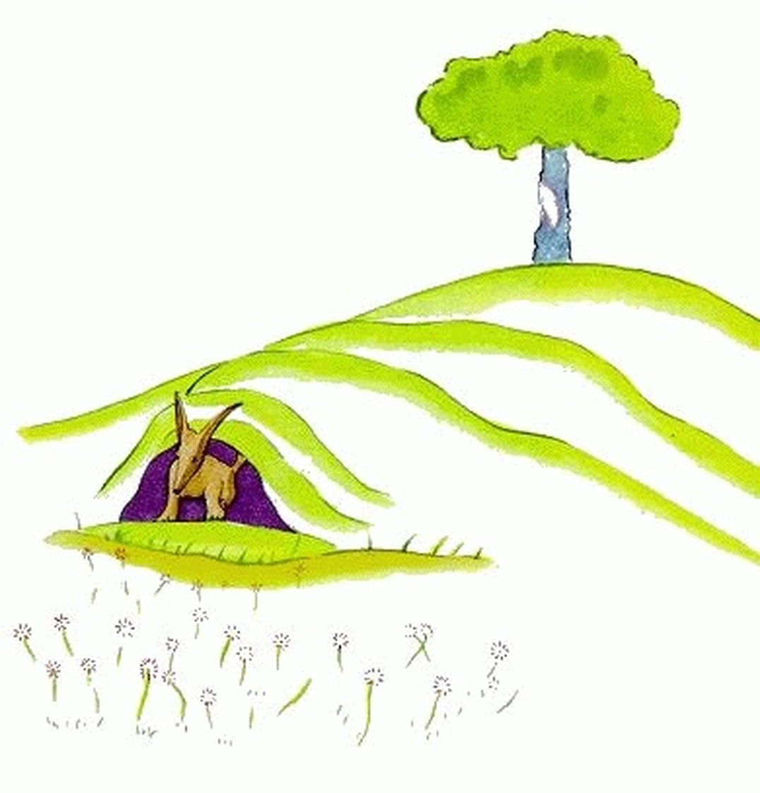 Illustration