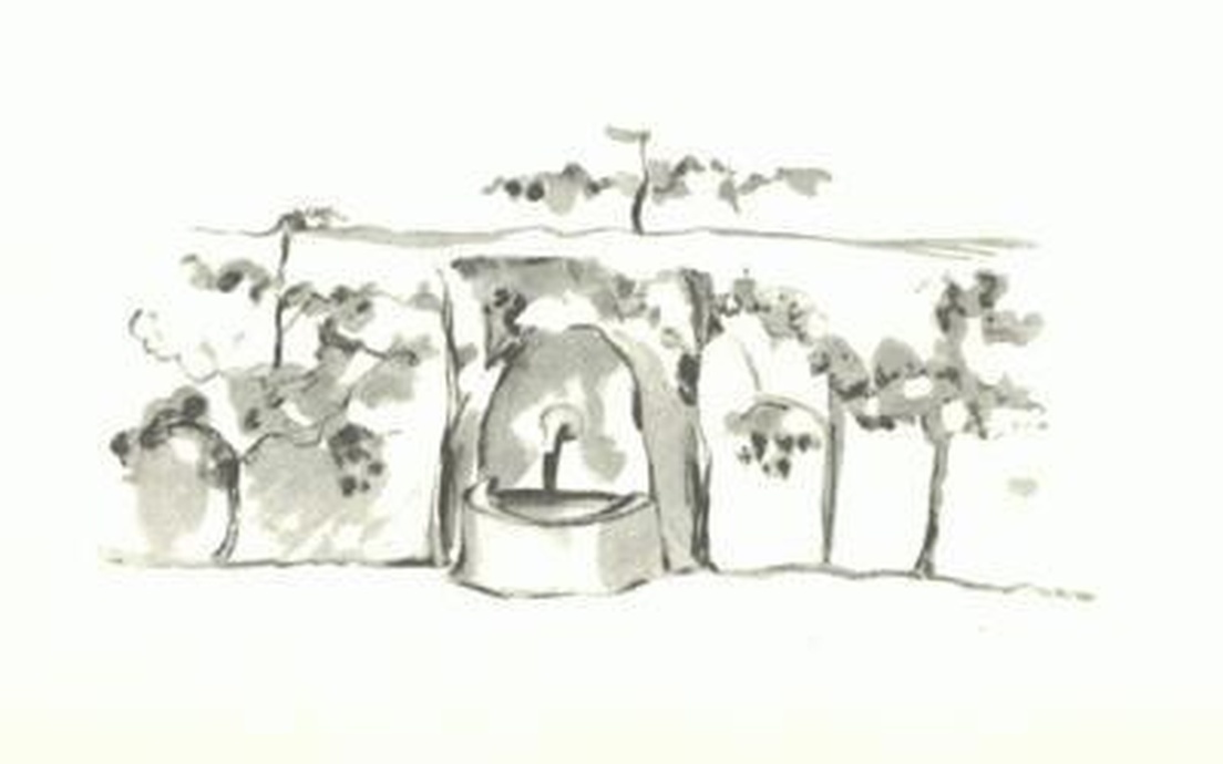 Illustration