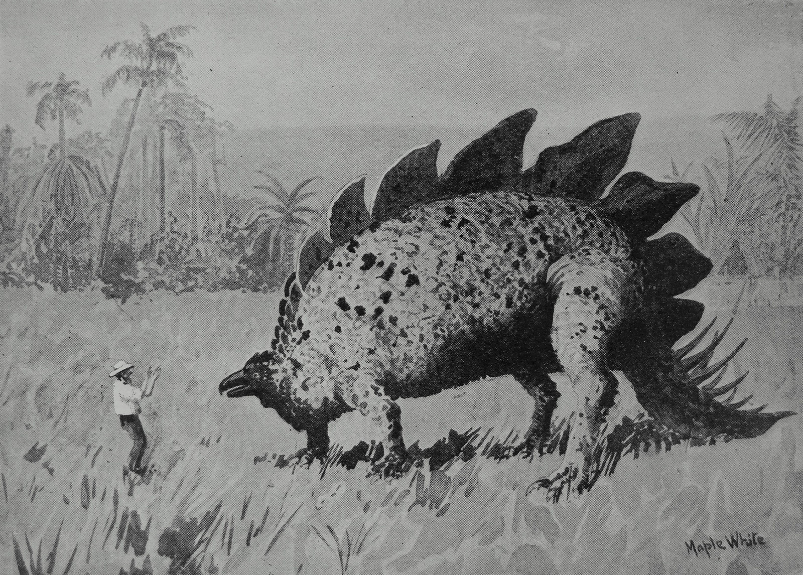 Maple White's drawing of the most extraordinary creature