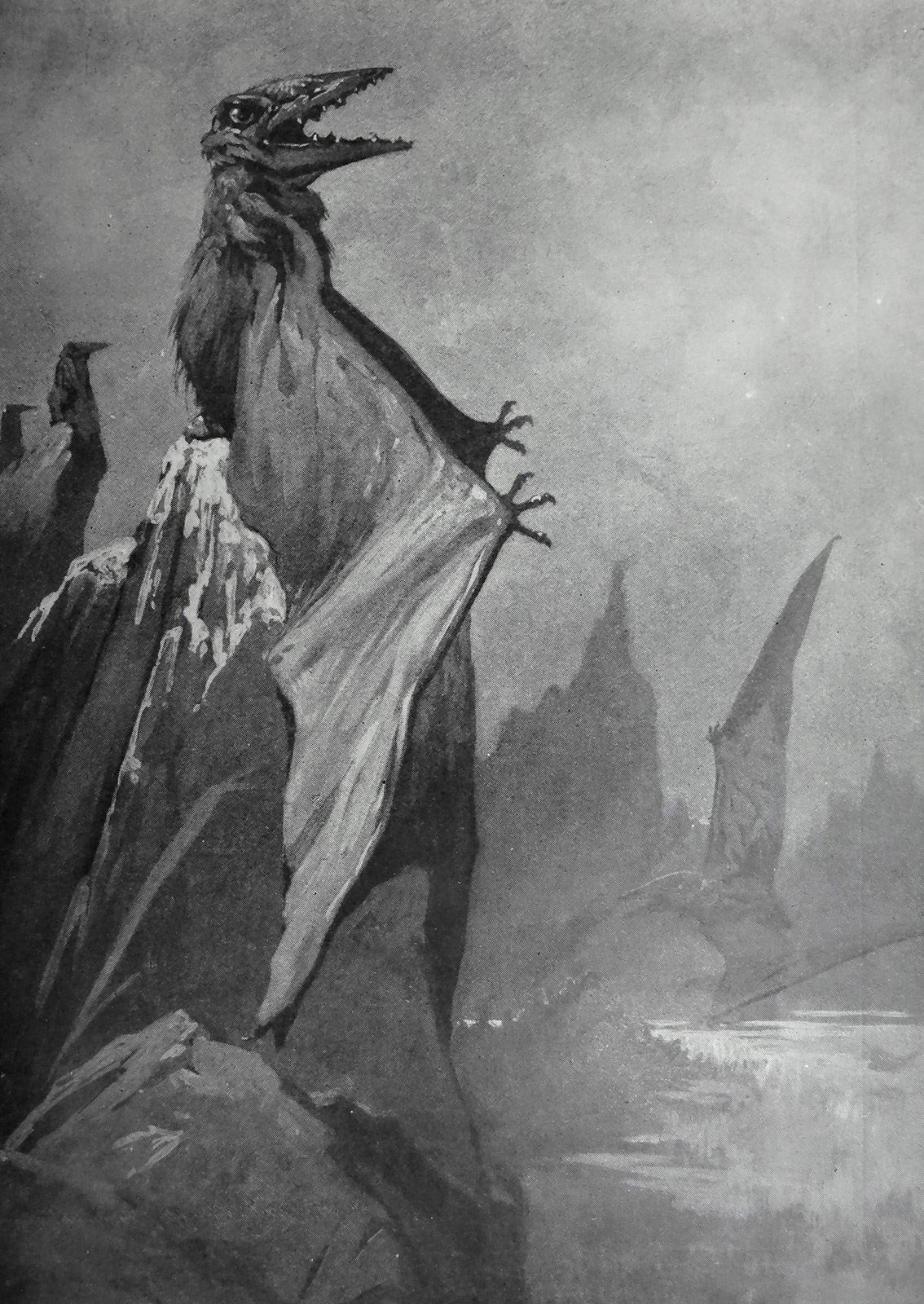 The place was a rookery of pterodactyls.