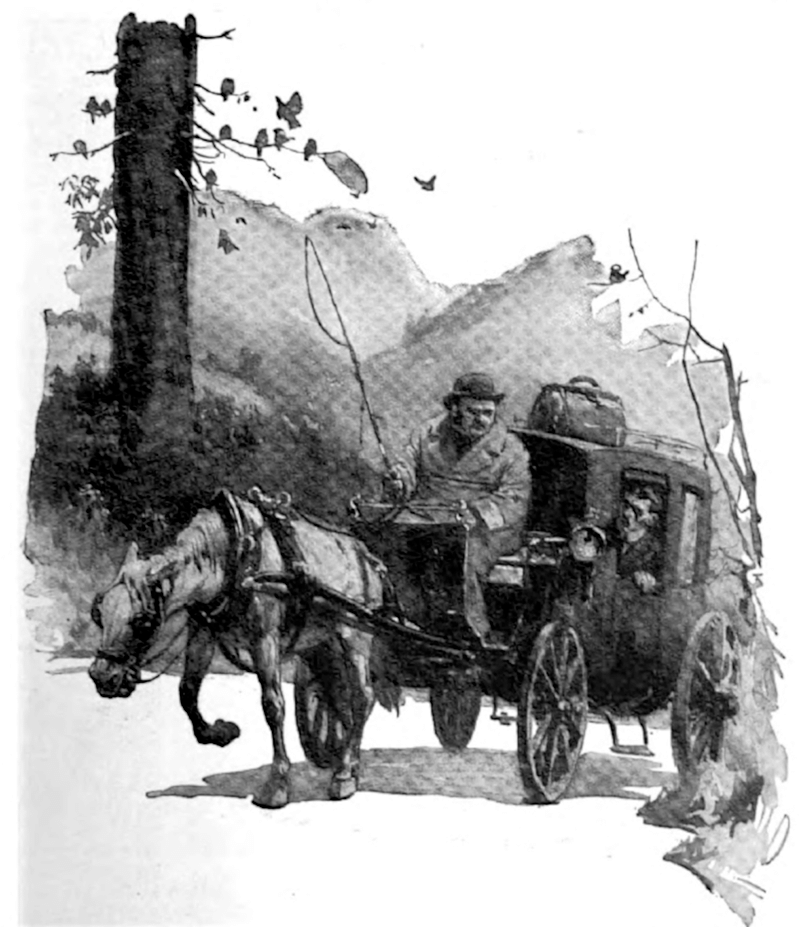 The young man was leaning out of the window shouting a direction.