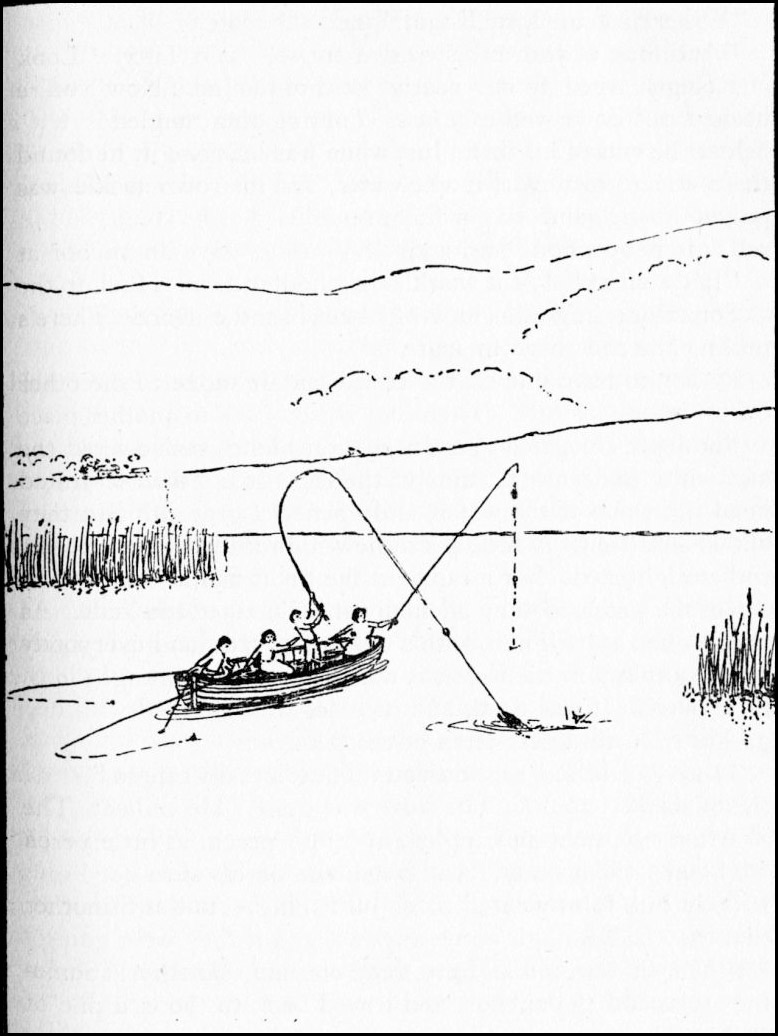 “IT’S A SHARK!”
