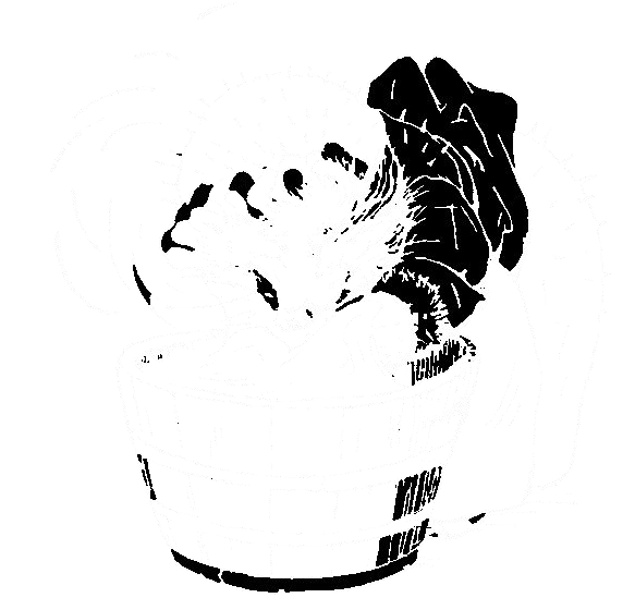 Mrs. Tiggy-winkle