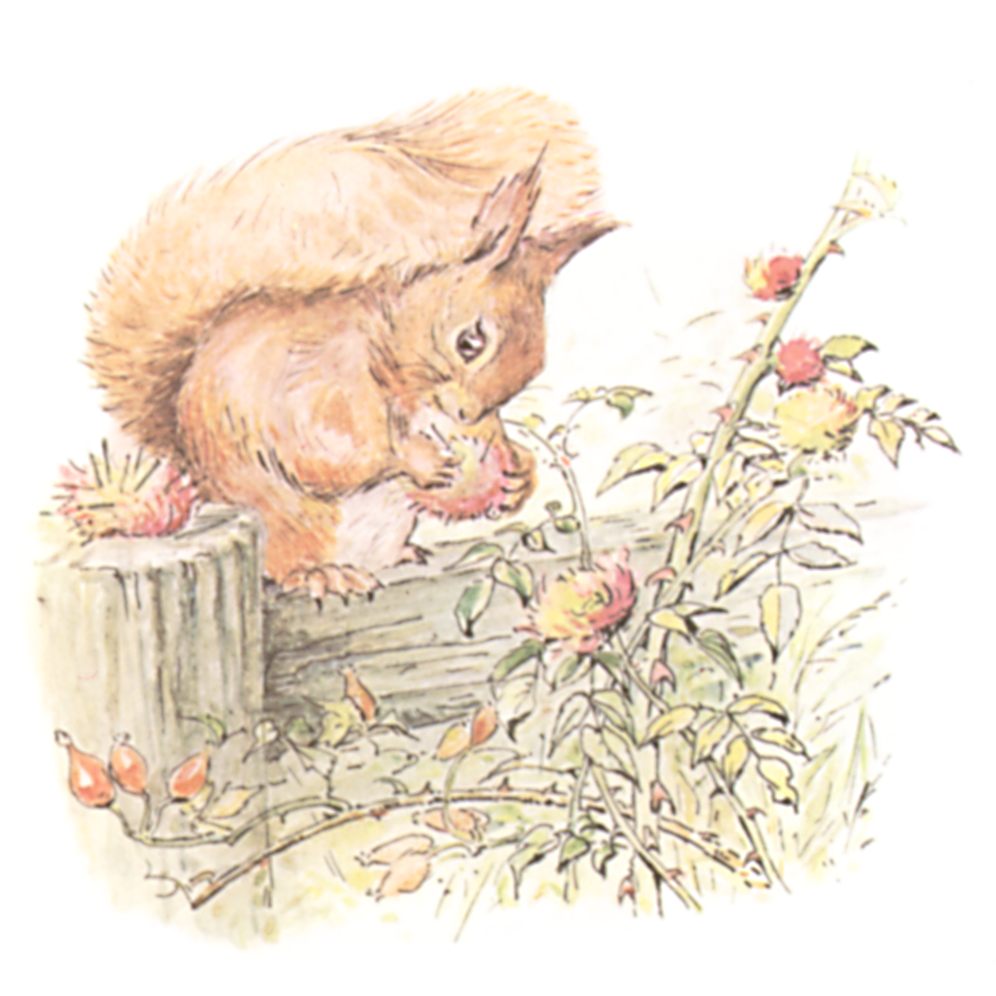 Playing with Pincushions
