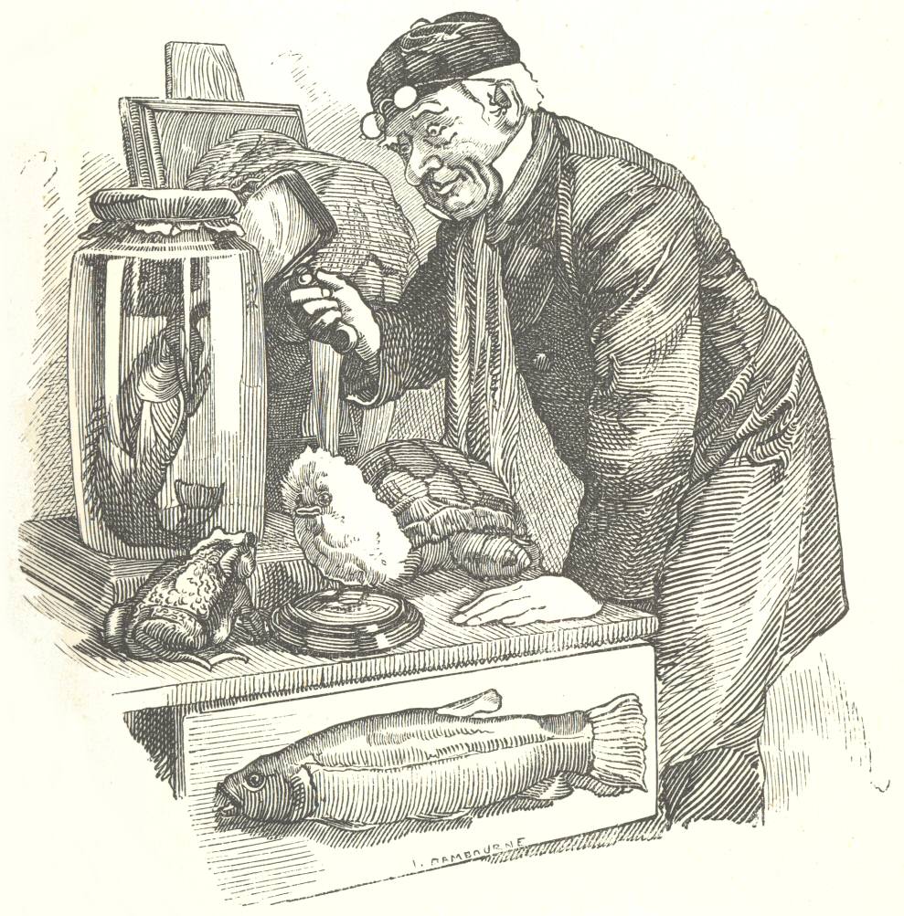 The Professor