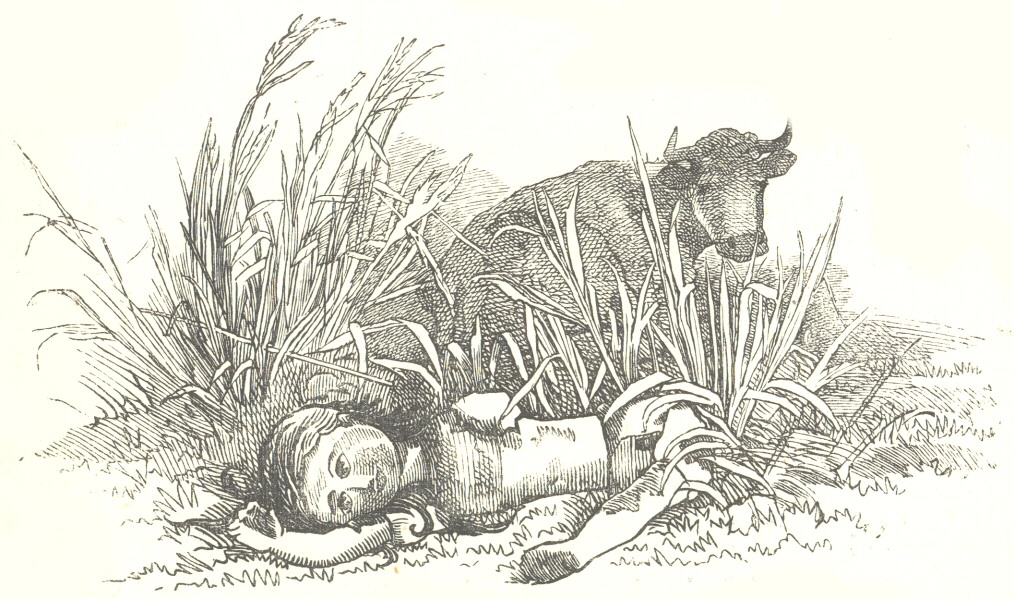 The broken doll