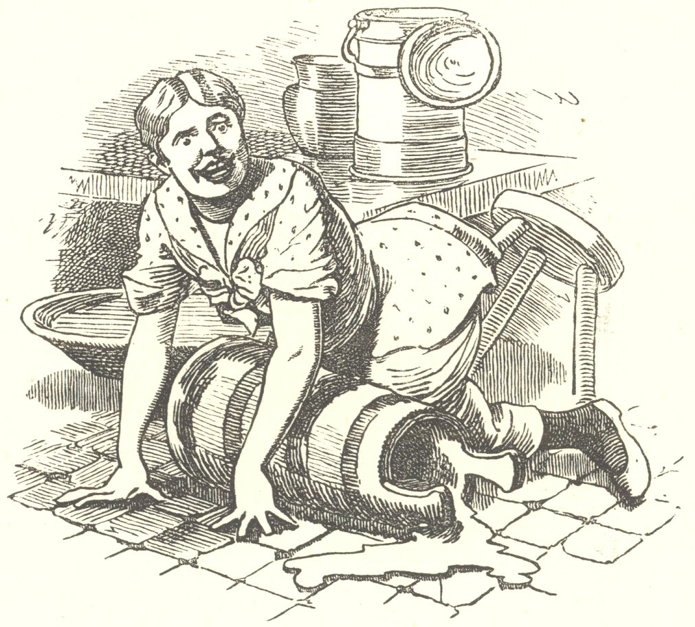 The diarymaid