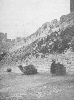 DAVID'S TOWER AND WALL OF JERUSALEM