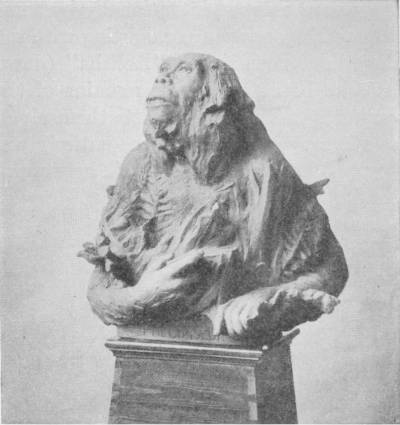 A THEORETICAL RESTORATION OF THE PITHECANTHROPUS ERECTUS BY PROF. RUTOT