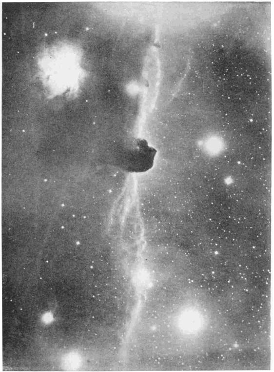 A DARK NEBULA