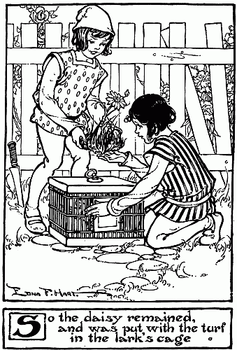 So the daisy remained, and was put with the turf in the lark’s cage.