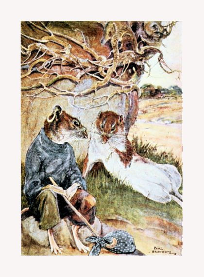 “It's a hard life, by all accounts,” murmured the Rat