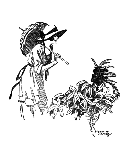 Miss Cannon, carrying a parasol, seeing William in the bushes