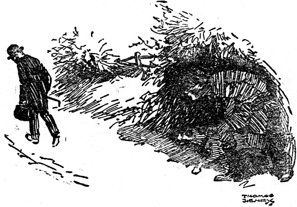 WILLIAM TURNED AND FOLLOWED, CREEPING ALONG THE SHADOW OF THE HEDGE, BENT ALMOST DOUBLE.
