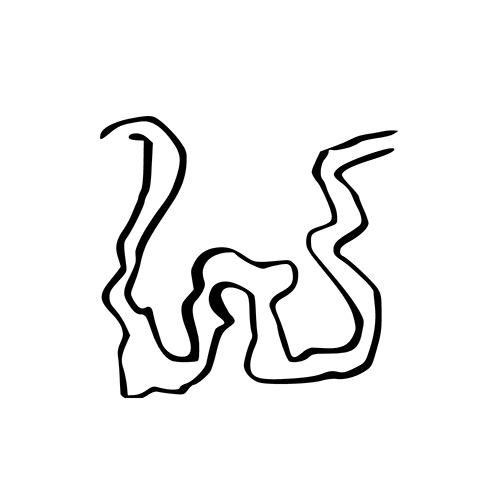 32