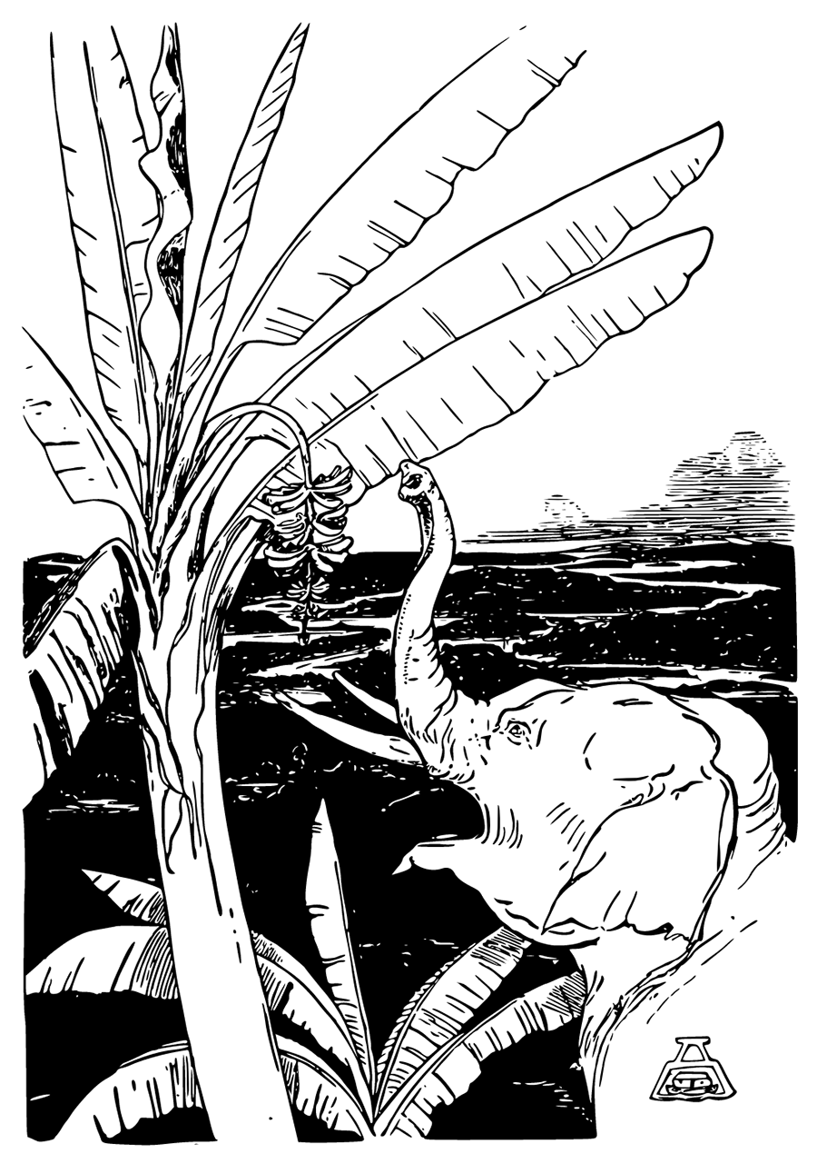 This is just a picture of the Elephant's Child going to pull bananas off a banana-tree after he had got his fine new long trunk.