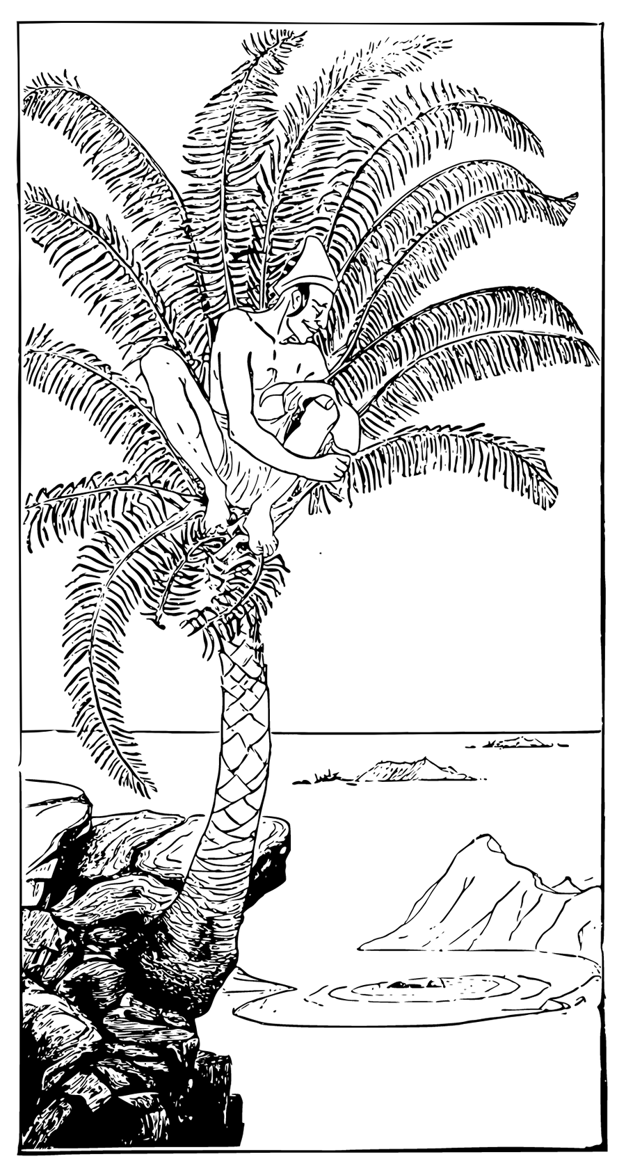 This is the Parsee Pestonjee Bomonjee sitting in his palm-tree and watching the Rhinoceros Strorks bathing near the beach of the Altogether Uninhabited Island after Strorks had taken off his skin.
